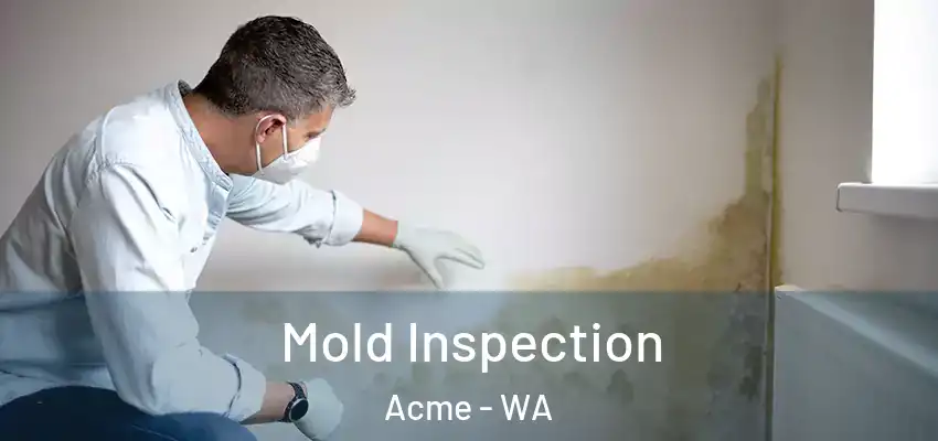  Mold Inspection Acme - WA
