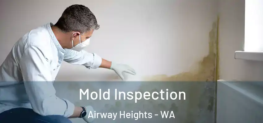  Mold Inspection Airway Heights - WA