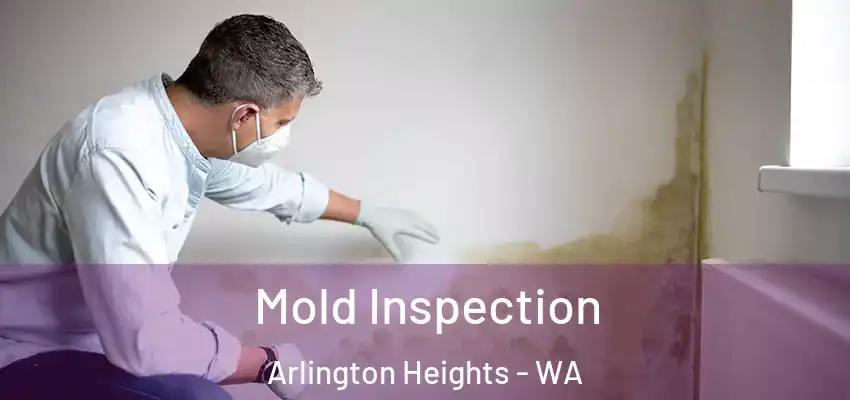  Mold Inspection Arlington Heights - WA