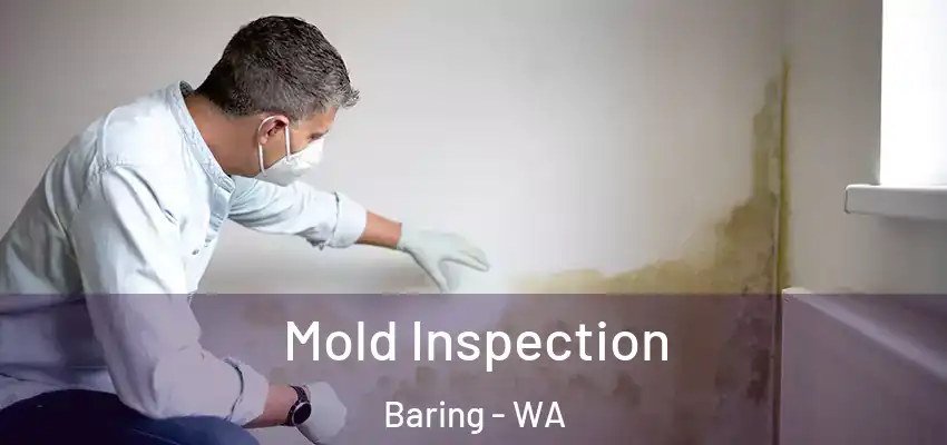  Mold Inspection Baring - WA