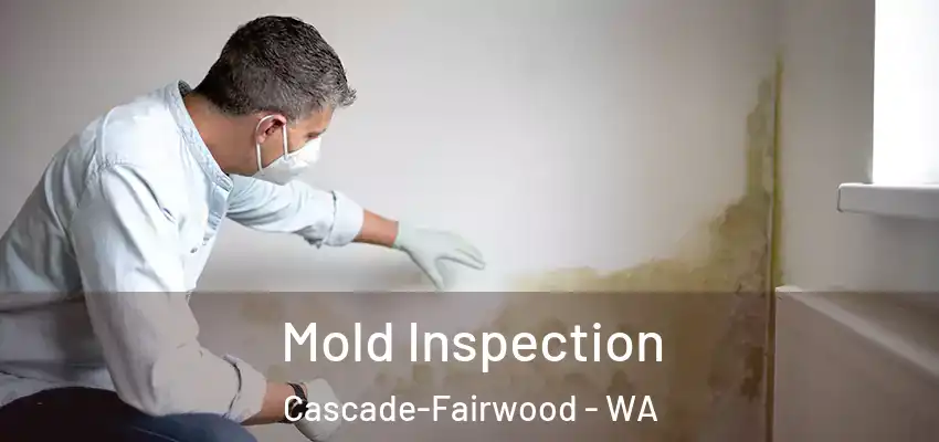  Mold Inspection Cascade-Fairwood - WA
