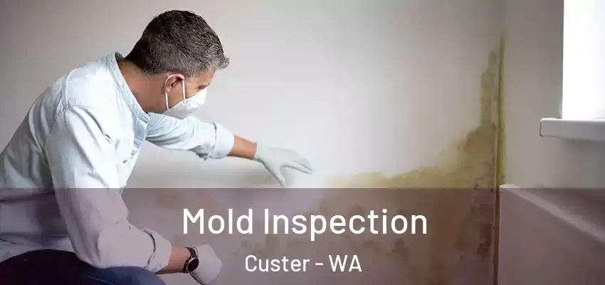  Mold Inspection Custer - WA