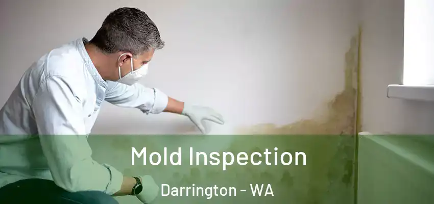 Mold Inspection Darrington - WA