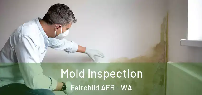  Mold Inspection Fairchild AFB - WA