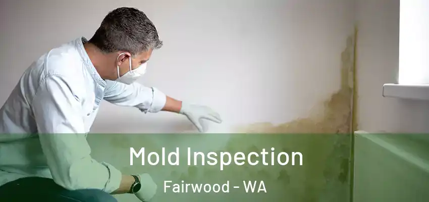  Mold Inspection Fairwood - WA