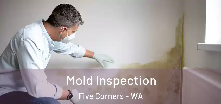  Mold Inspection Five Corners - WA