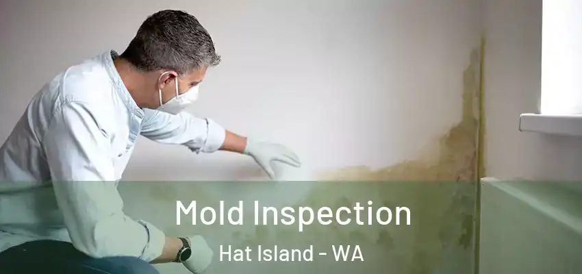  Mold Inspection Hat Island - WA