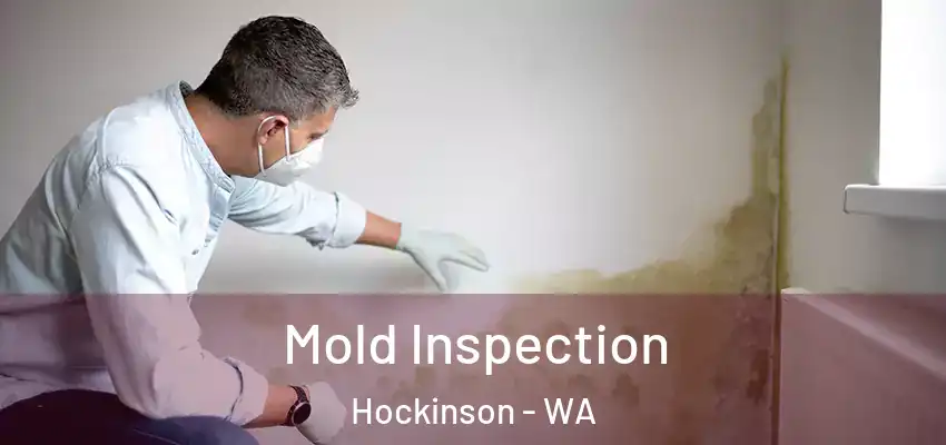  Mold Inspection Hockinson - WA