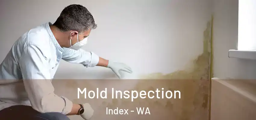  Mold Inspection Index - WA