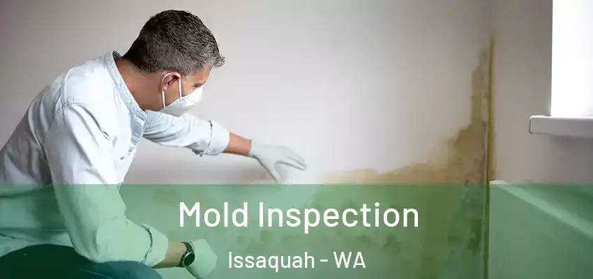  Mold Inspection Issaquah - WA