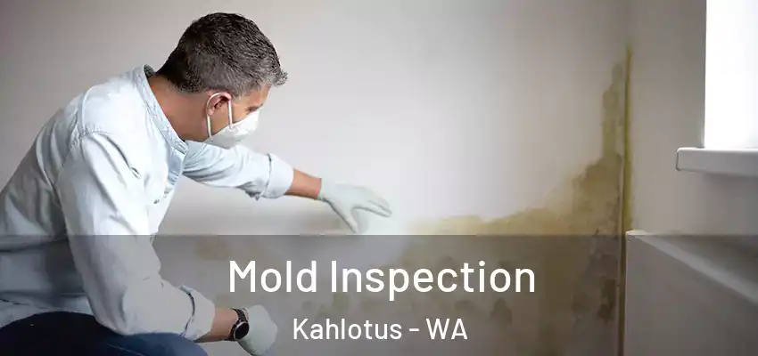  Mold Inspection Kahlotus - WA