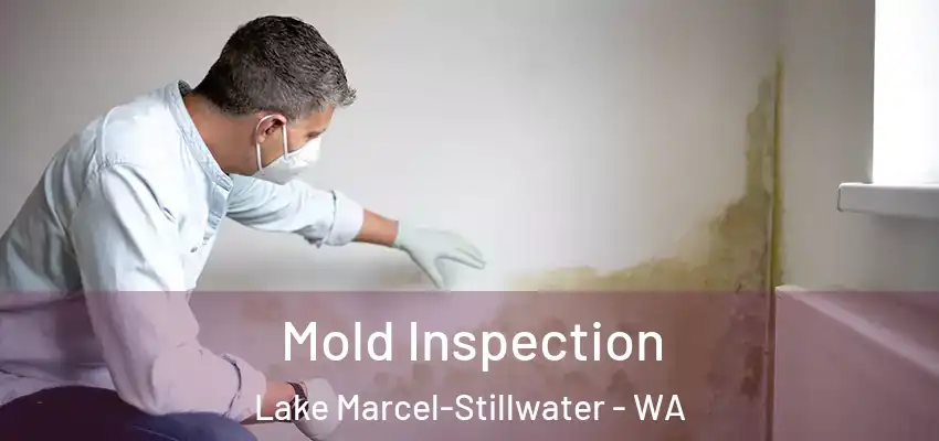 Mold Inspection Lake Marcel-Stillwater - WA