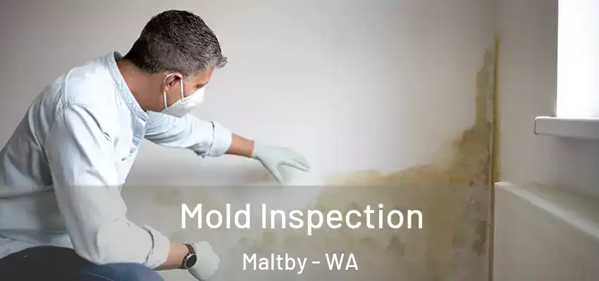 Mold Inspection Maltby - WA