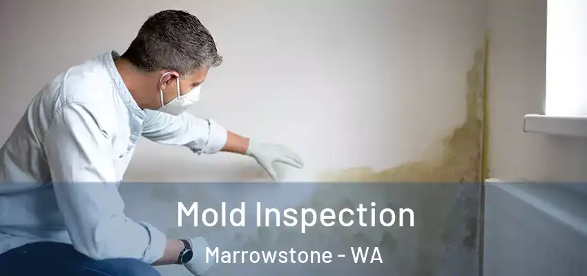  Mold Inspection Marrowstone - WA