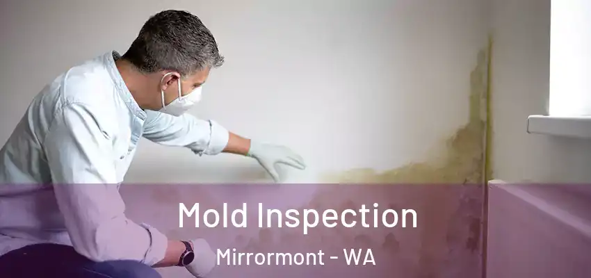  Mold Inspection Mirrormont - WA