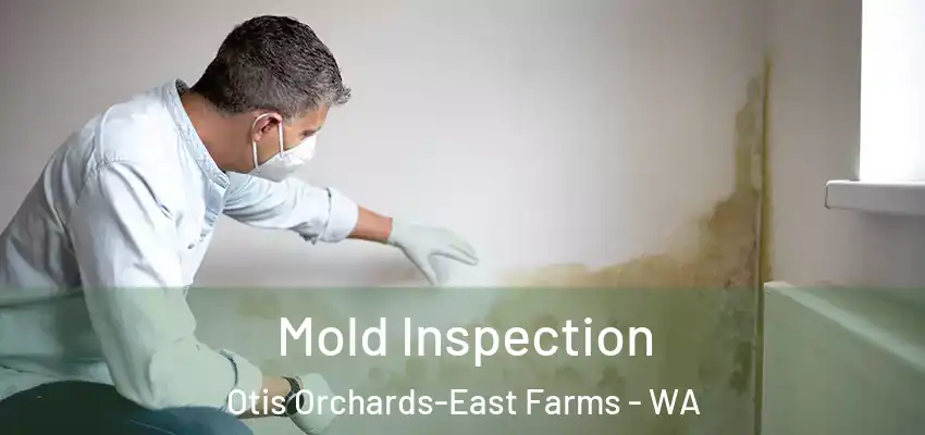  Mold Inspection Otis Orchards-East Farms - WA