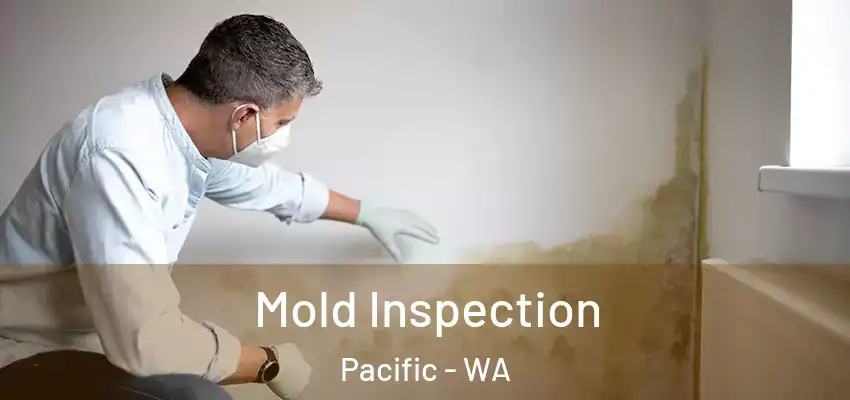  Mold Inspection Pacific - WA
