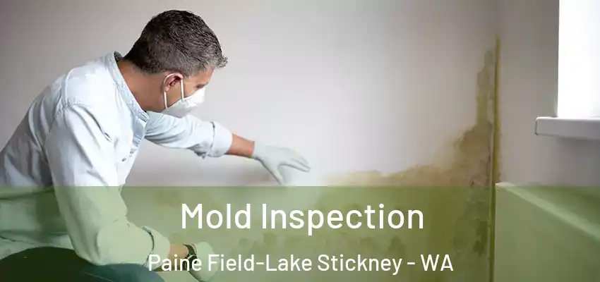  Mold Inspection Paine Field-Lake Stickney - WA