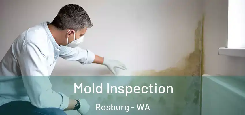  Mold Inspection Rosburg - WA
