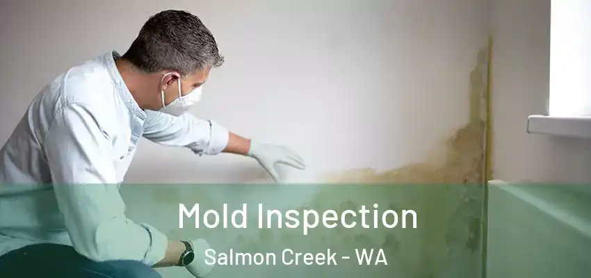  Mold Inspection Salmon Creek - WA