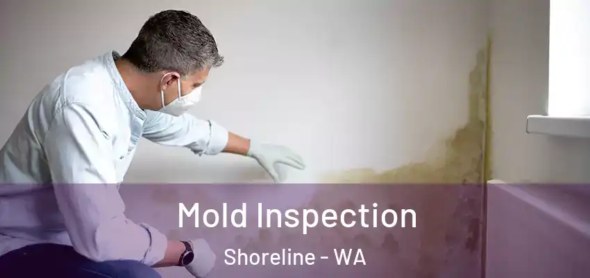  Mold Inspection Shoreline - WA