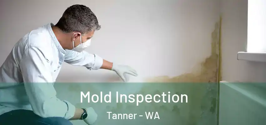  Mold Inspection Tanner - WA