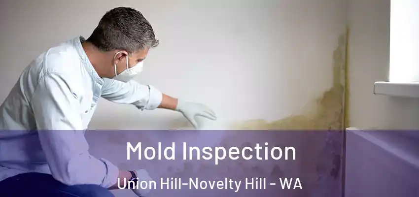 Mold Inspection Union Hill-Novelty Hill - WA