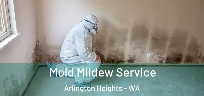  Mold Mildew Service Arlington Heights - WA