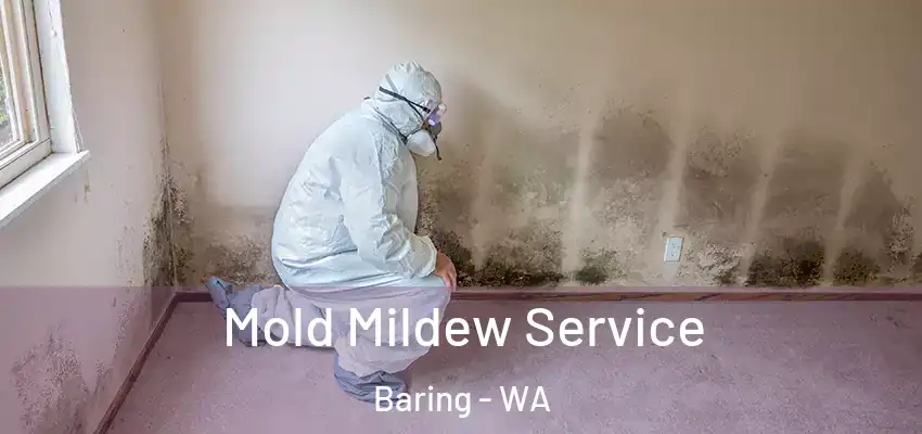  Mold Mildew Service Baring - WA