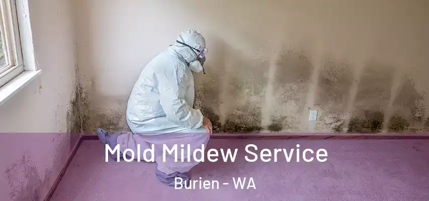 Mold Mildew Service Burien - WA