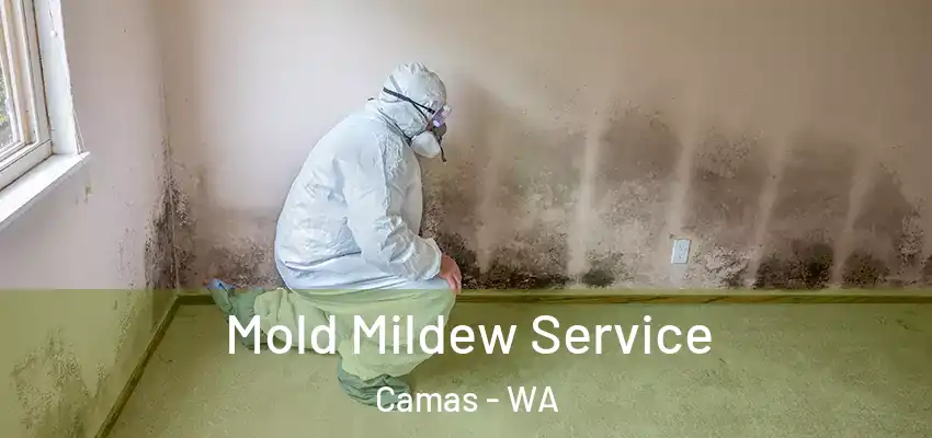 Mold Mildew Service Camas - WA