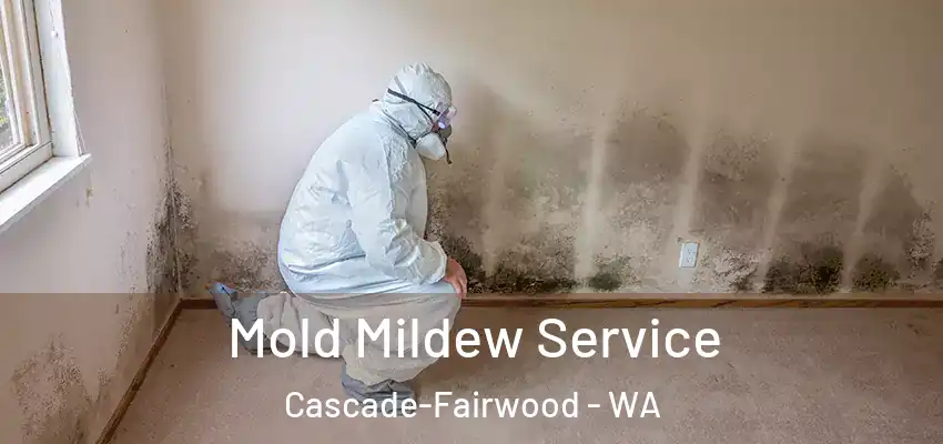  Mold Mildew Service Cascade-Fairwood - WA