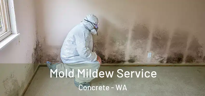  Mold Mildew Service Concrete - WA