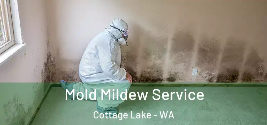  Mold Mildew Service Cottage Lake - WA