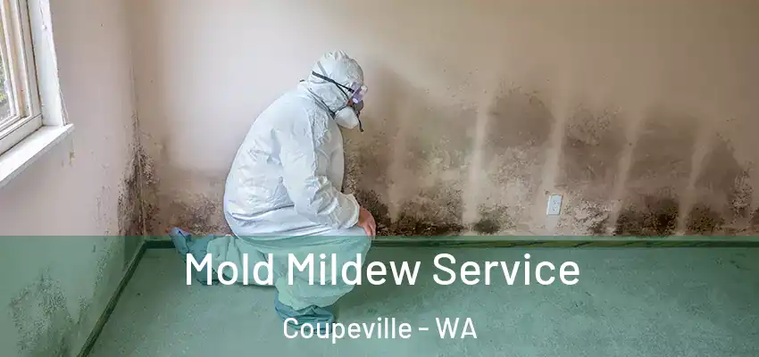  Mold Mildew Service Coupeville - WA