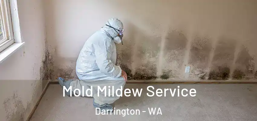  Mold Mildew Service Darrington - WA