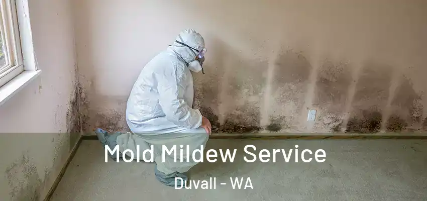 Mold Mildew Service Duvall - WA