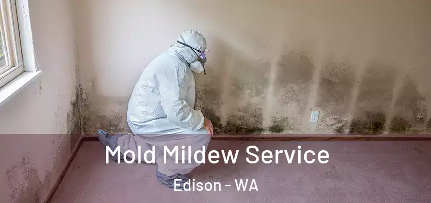  Mold Mildew Service Edison - WA