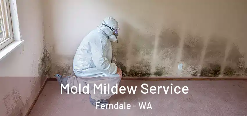  Mold Mildew Service Ferndale - WA