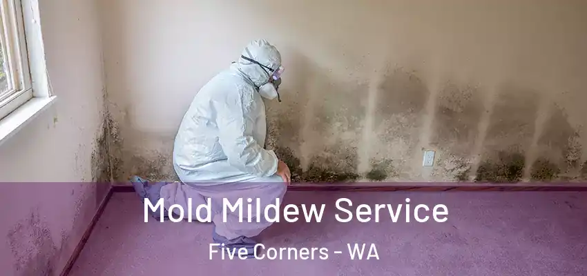  Mold Mildew Service Five Corners - WA