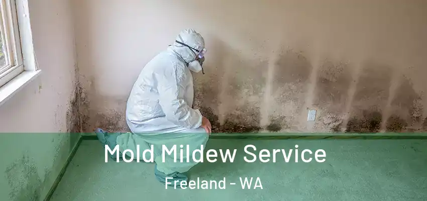  Mold Mildew Service Freeland - WA