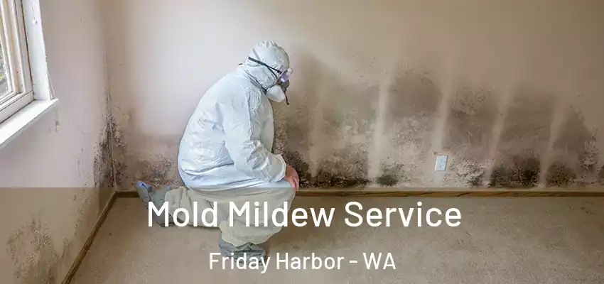  Mold Mildew Service Friday Harbor - WA