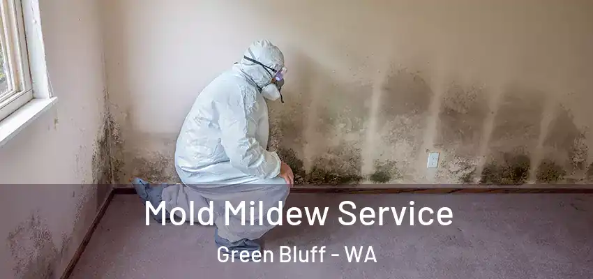 Mold Mildew Service Green Bluff - WA
