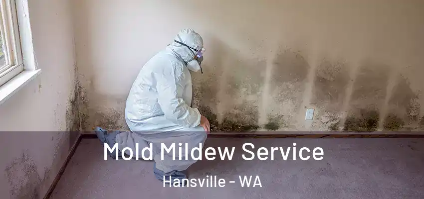  Mold Mildew Service Hansville - WA