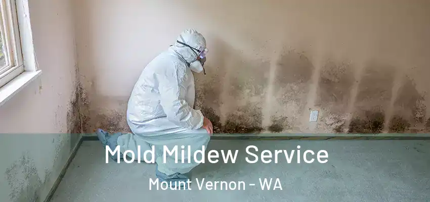  Mold Mildew Service Mount Vernon - WA