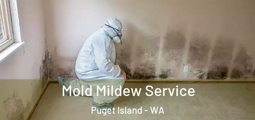 Mold Mildew Service Puget Island - WA