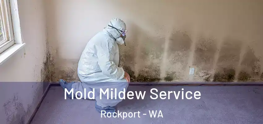  Mold Mildew Service Rockport - WA