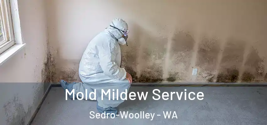  Mold Mildew Service Sedro-Woolley - WA