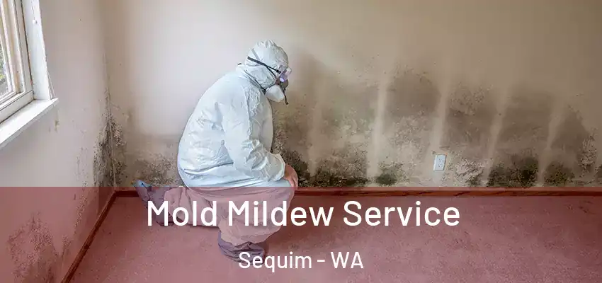 Mold Mildew Service Sequim - WA
