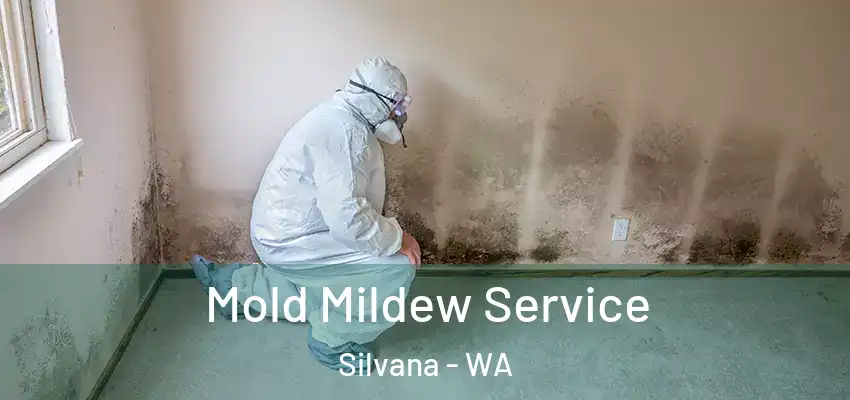  Mold Mildew Service Silvana - WA